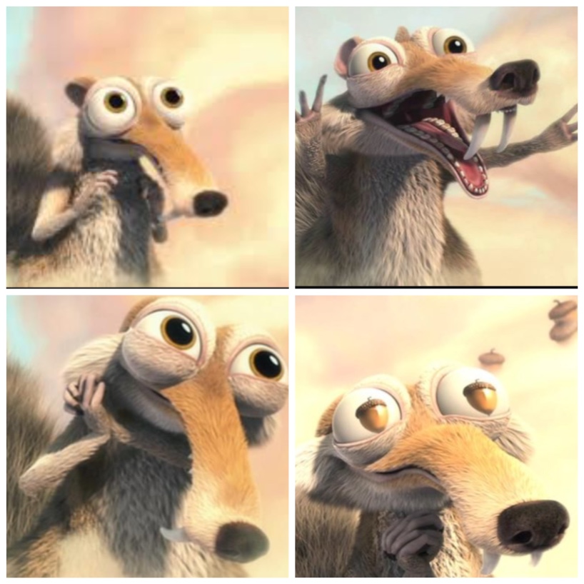 [cml_media_alt id='1689']foto9[/cml_media_alt]