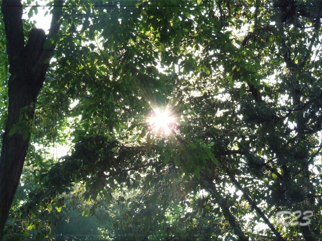 [cml_media_alt id='1929']275[/cml_media_alt]