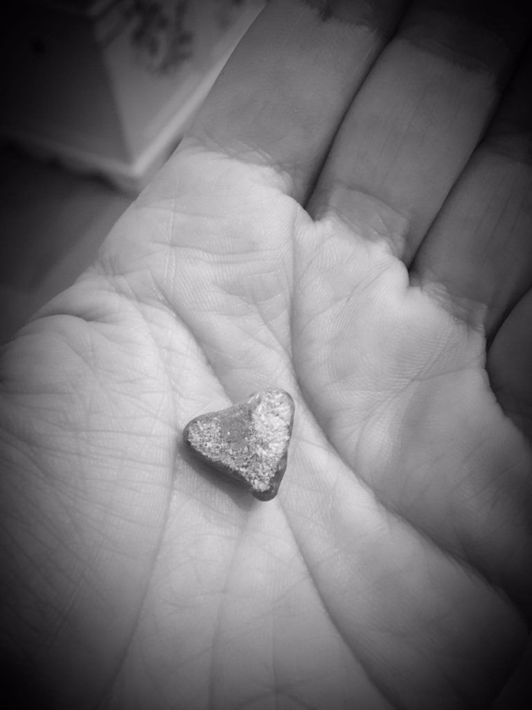 [cml_media_alt id='1901']foto[/cml_media_alt]