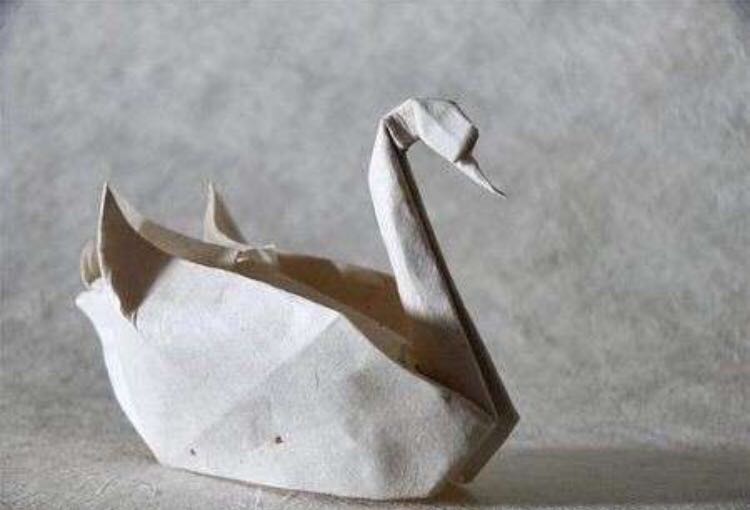 [cml_media_alt id='2022']foto13[/cml_media_alt]