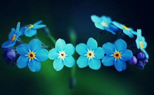 [cml_media_alt id='2059']296[/cml_media_alt]