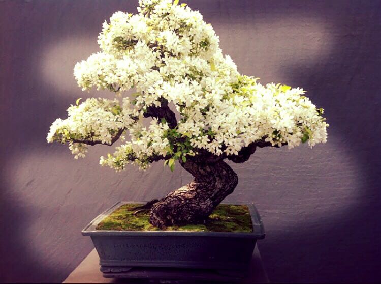 [cml_media_alt id='2121']foto-3[/cml_media_alt]