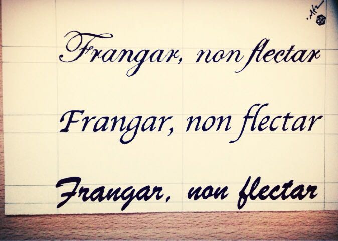 [cml_media_alt id='2164']foto26[/cml_media_alt]