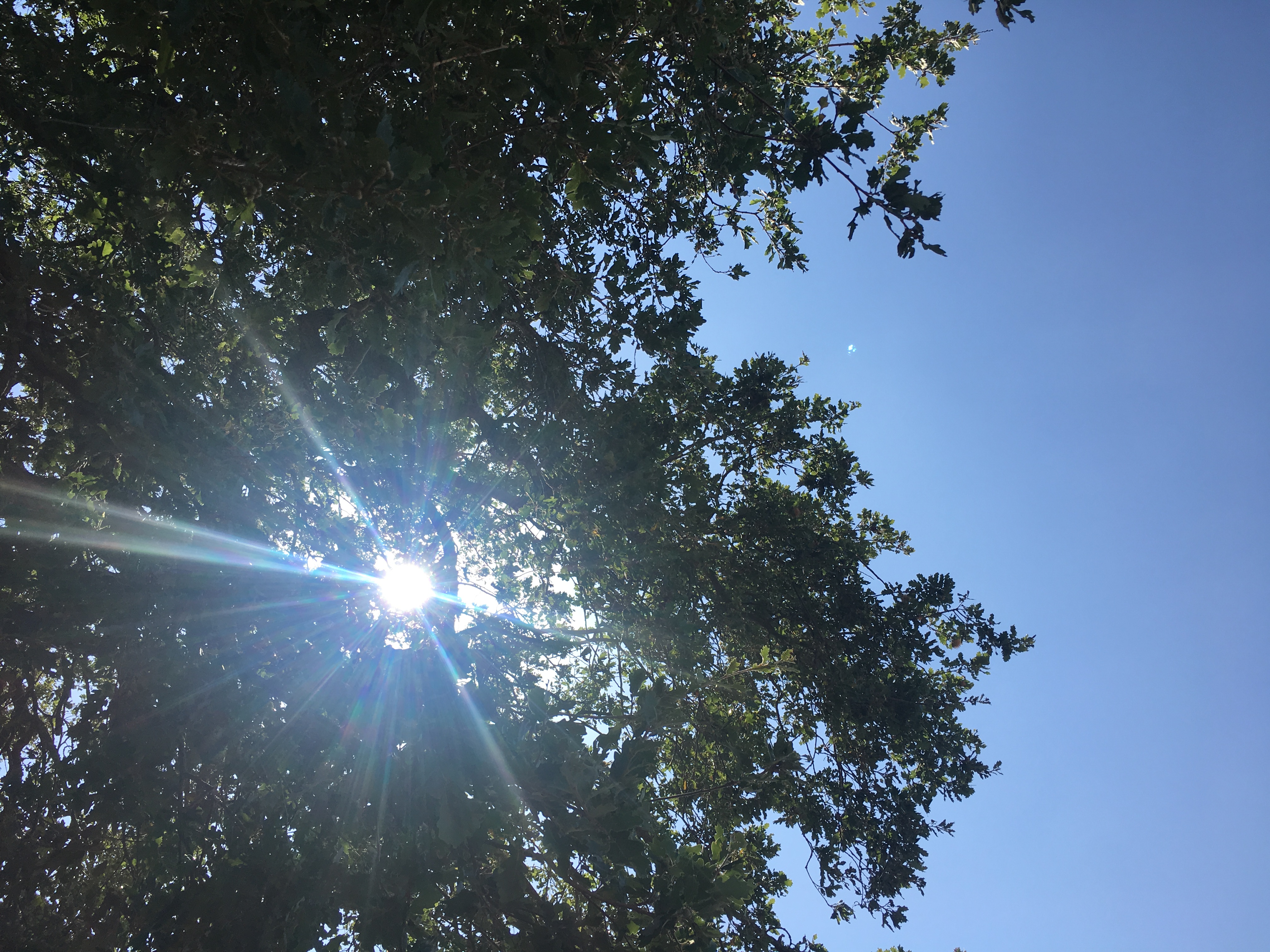 [cml_media_alt id='2218']img_4853[/cml_media_alt]