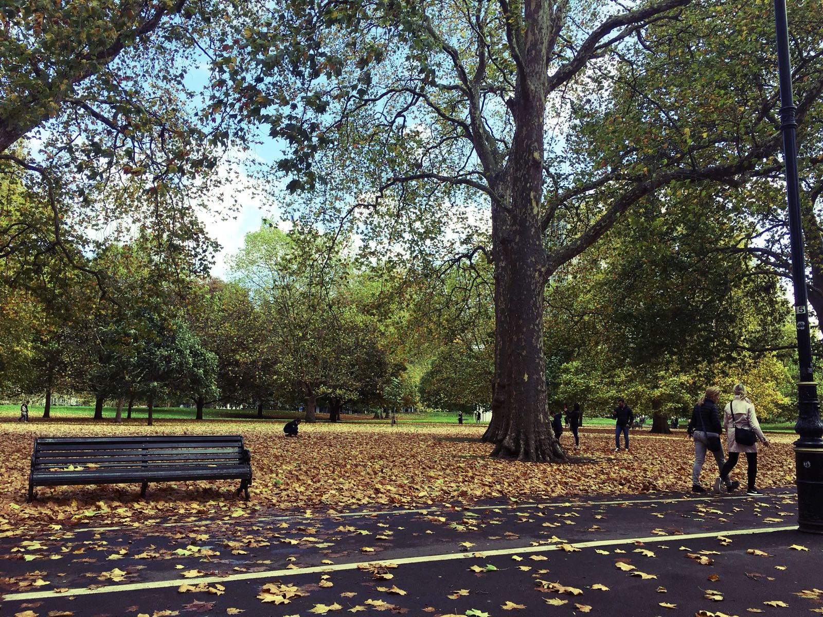 [cml_media_alt id='2345']img-20171031-wa0016[/cml_media_alt]